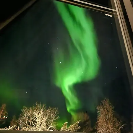Polar Wings-arctic Fjord Retreat, Privat 60 Km From Tromso Mortenhals