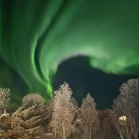 Polar Wings-arctic Fjord Retreat, Privat 60 Km From Tromso *
